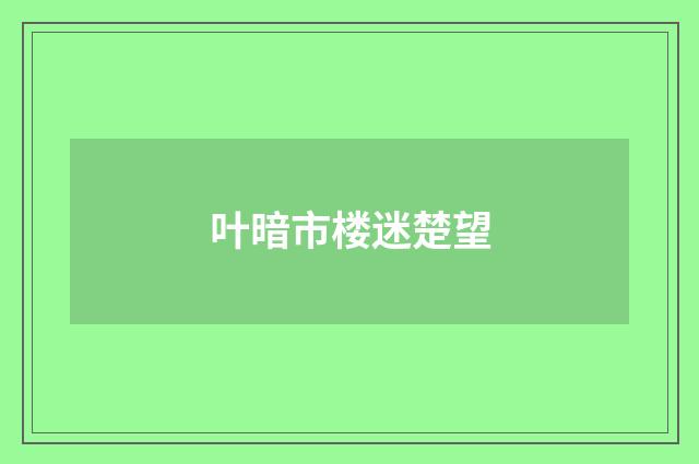 叶暗市楼迷楚望