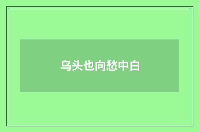乌头也向愁中白