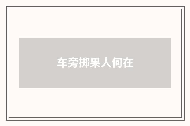 车旁掷果人何在