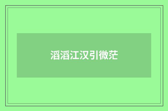 滔滔江汉引微茫