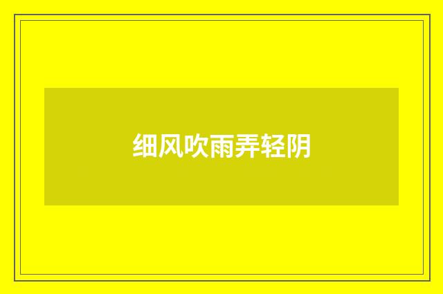 细风吹雨弄轻阴