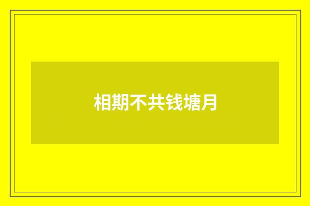 相期不共钱塘月
