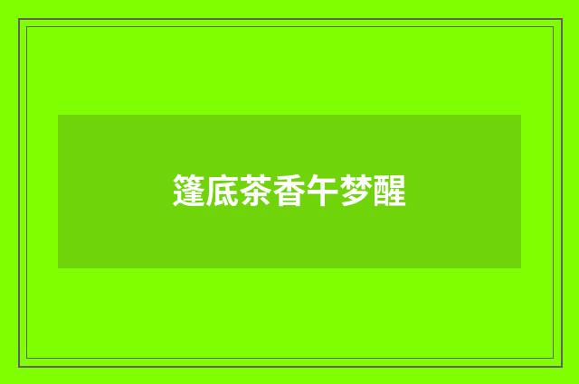 篷底茶香午梦醒