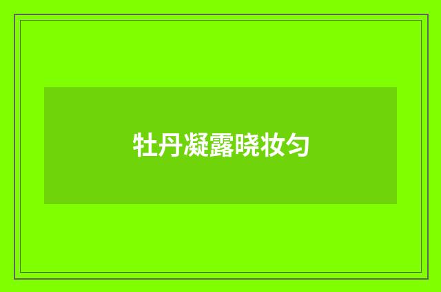 牡丹凝露晓妆匀