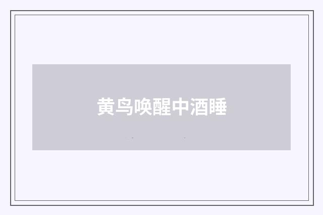 黄鸟唤醒中酒睡