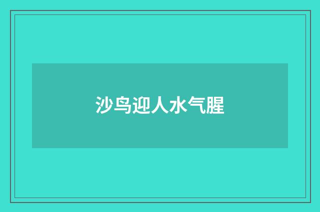 沙鸟迎人水气腥