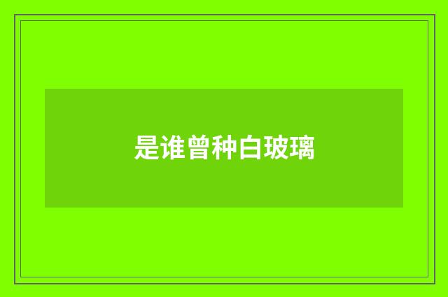 是谁曾种白玻璃