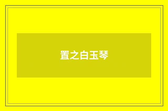 置之白玉琴