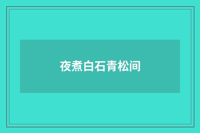 夜煮白石青松间
