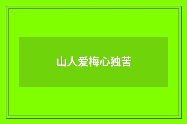 山人爱梅心独苦