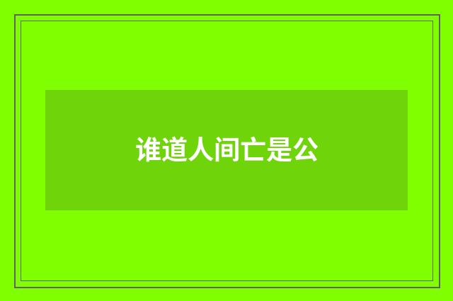 谁道人间亡是公