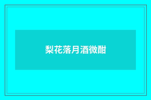 梨花落月酒微酣