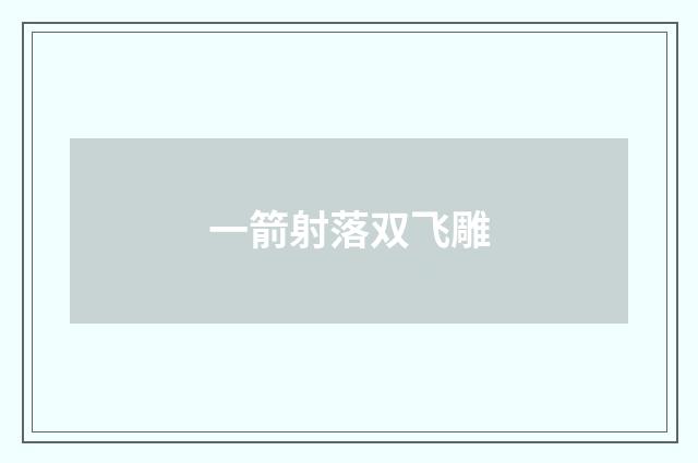 一箭射落双飞雕