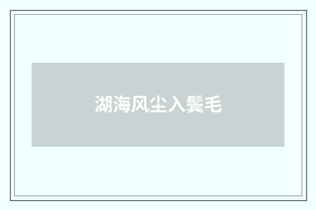 湖海风尘入鬓毛