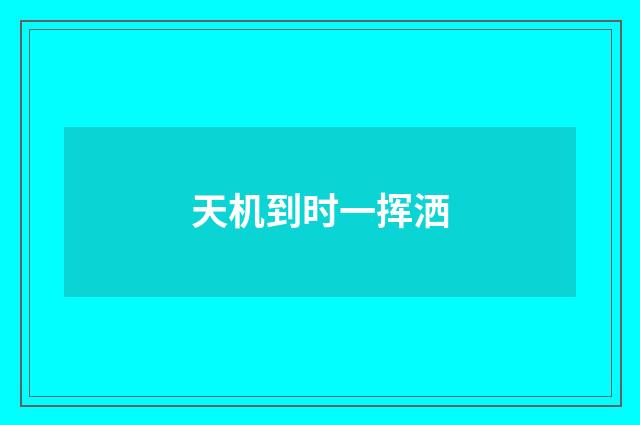 天机到时一挥洒