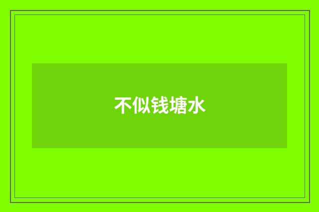 不似钱塘水
