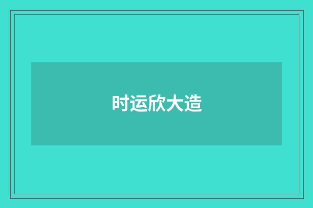 时运欣大造
