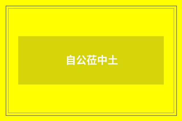 自公莅中土