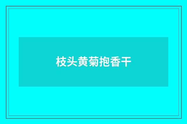 枝头黄菊抱香干
