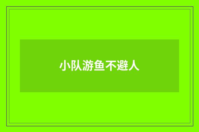 小队游鱼不避人