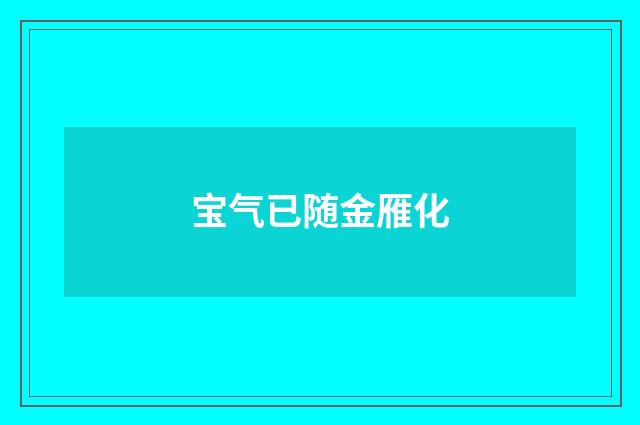 宝气已随金雁化
