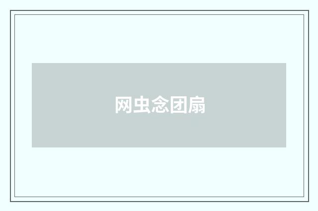 网虫念团扇