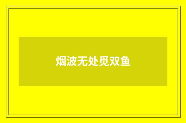 烟波无处觅双鱼