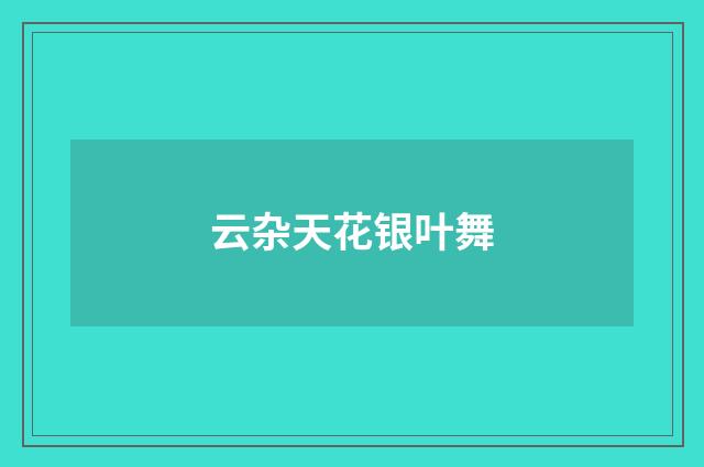 云杂天花银叶舞