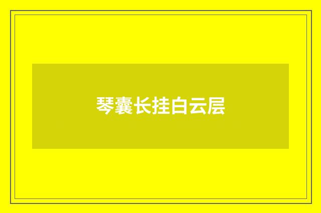 琴囊长挂白云层