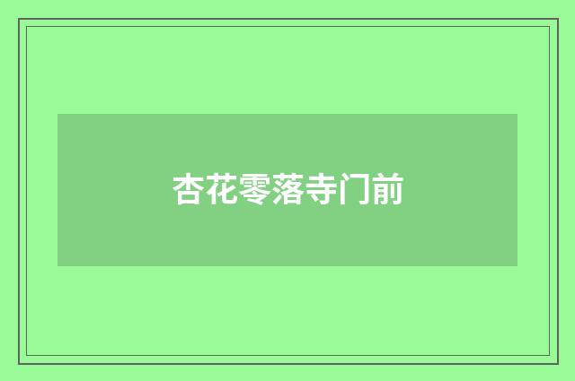 杏花零落寺门前