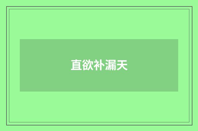 直欲补漏天