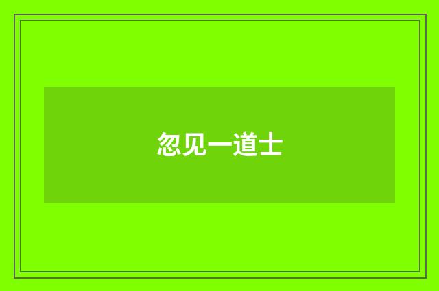 忽见一道士