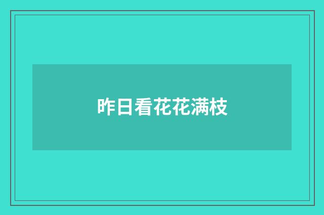 昨日看花花满枝