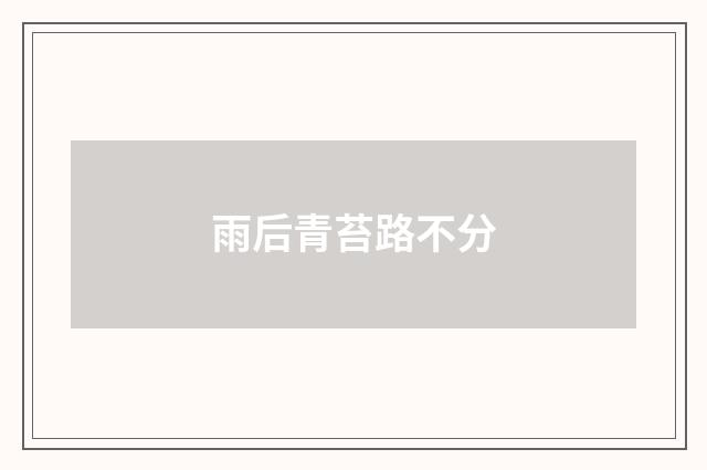 雨后青苔路不分