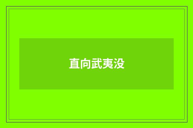 直向武夷没