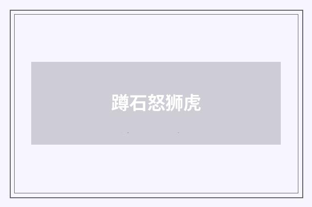 蹲石怒狮虎
