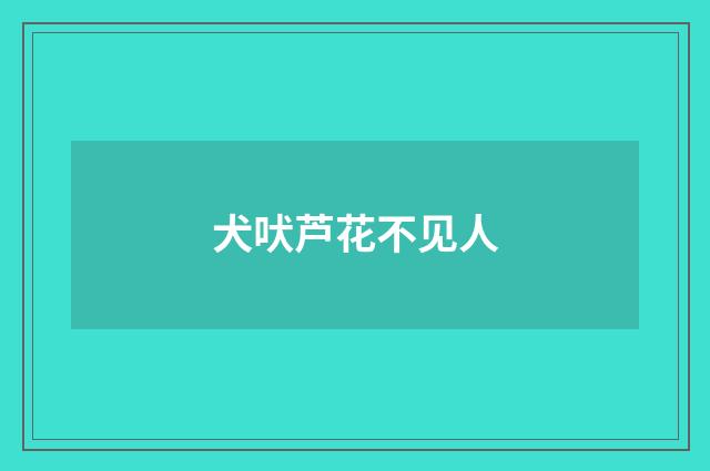 犬吠芦花不见人