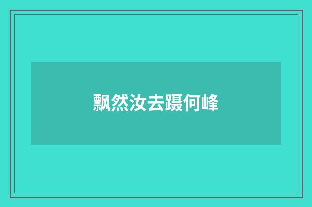 飘然汝去蹑何峰