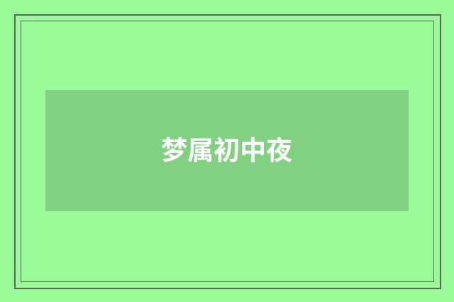 梦属初中夜