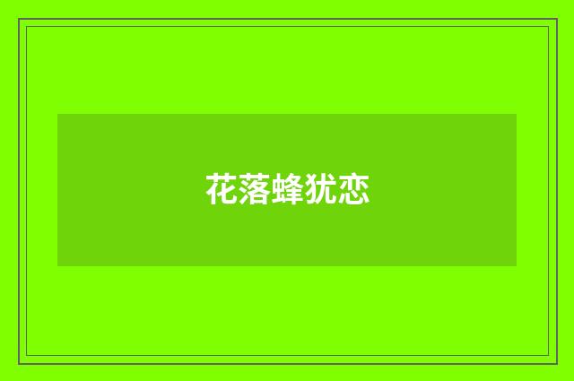 花落蜂犹恋