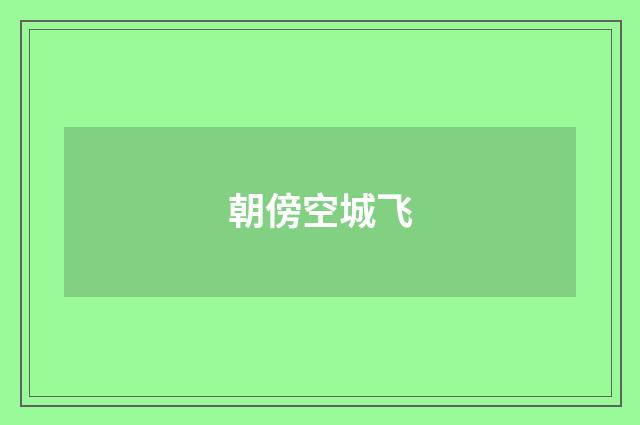 朝傍空城飞