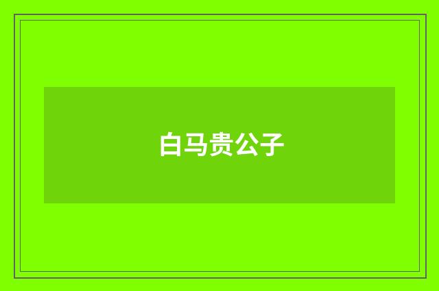 白马贵公子