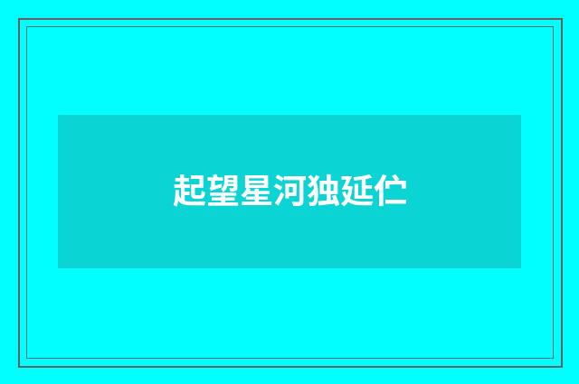起望星河独延伫