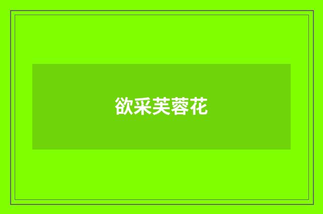 欲采芙蓉花
