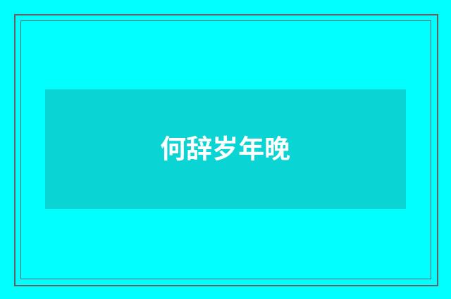 何辞岁年晚