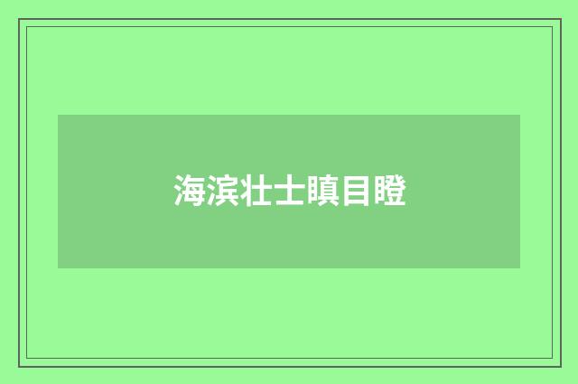 海滨壮士瞋目瞪