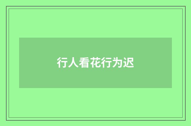 行人看花行为迟