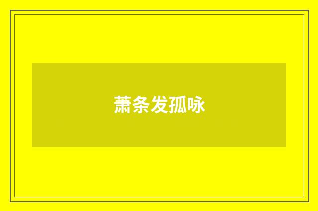 萧条发孤咏