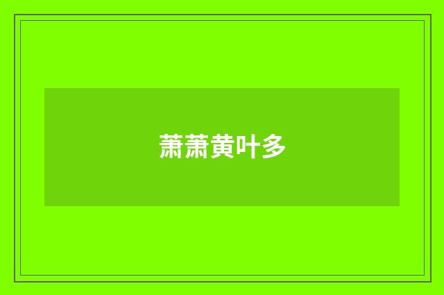 萧萧黄叶多