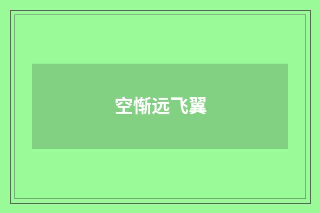 空惭远飞翼